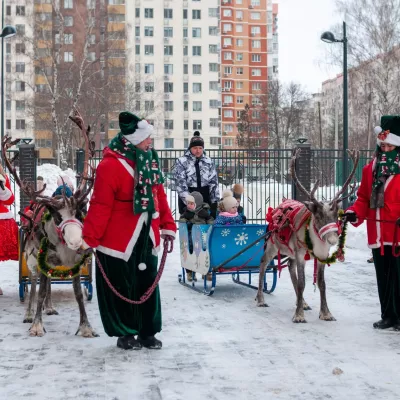 Встречаем Новый год 2024